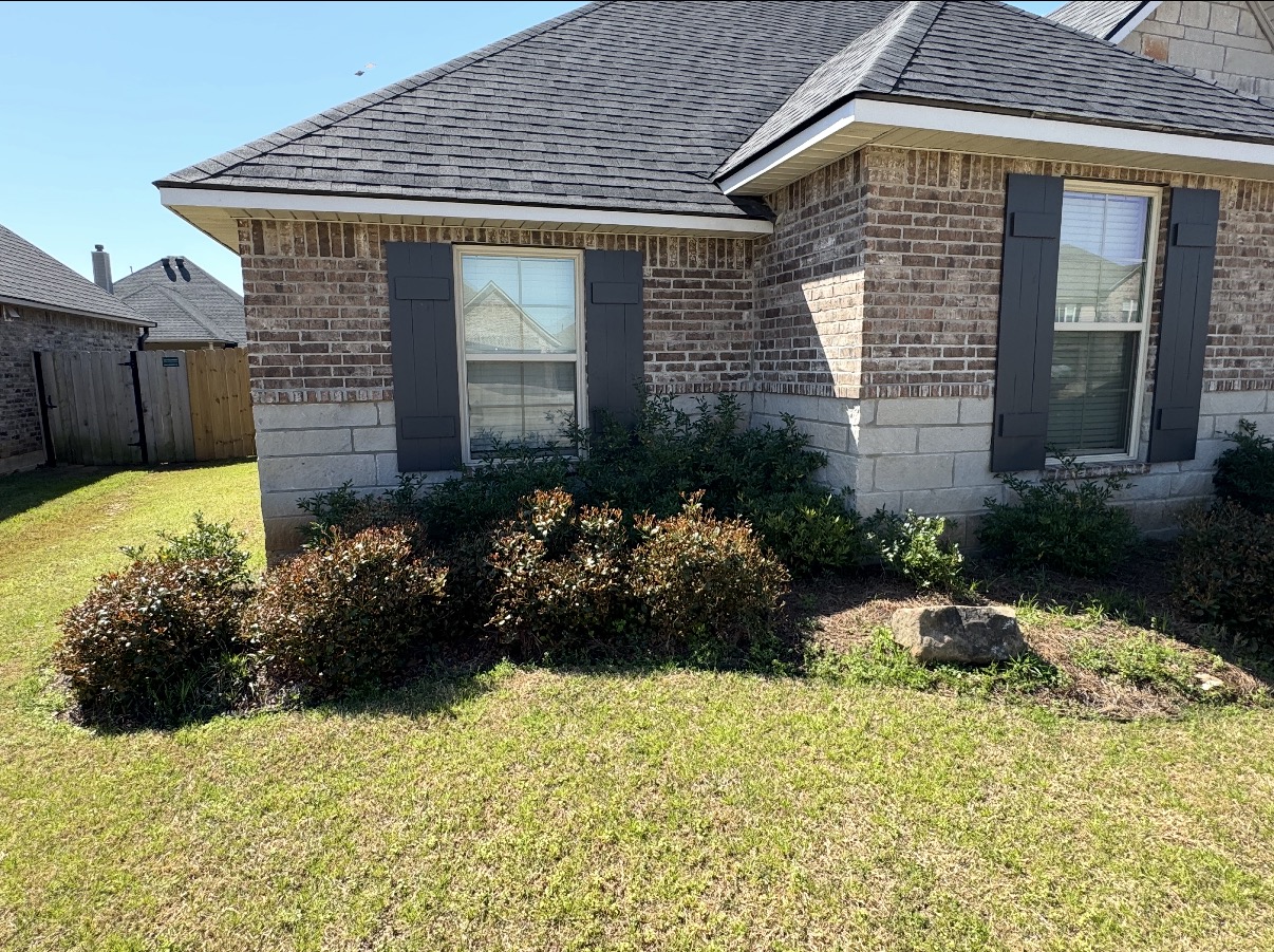Shrub trimming & bed cleanup — before