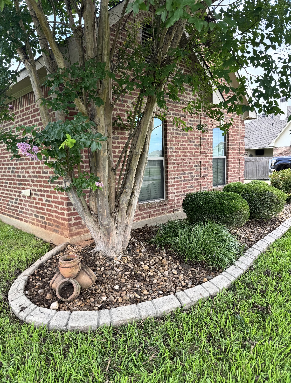 Tree bed refresh with river rock — after