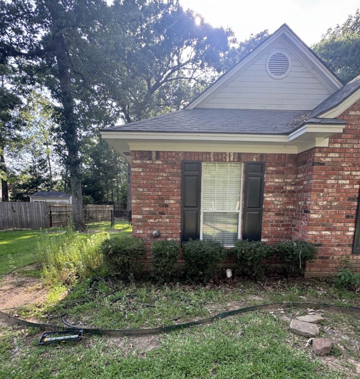 Shrub bed cleanup & fresh edging — before